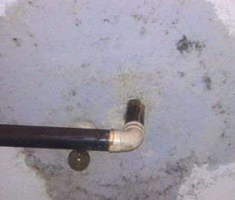 黑水卫生间防水哪家好