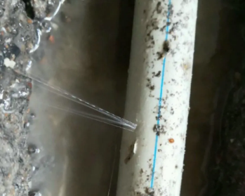 黑水卫生间测漏水多少钱
