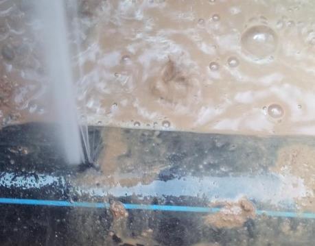 黑水卫生间防水哪家好